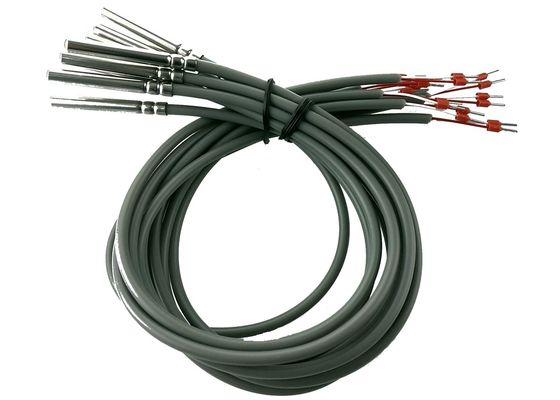 RTDのクラスB PT100プラチナ抵抗のマイクロ温度検出器6x50mmのステンレス鋼304ハウジングとの2メートルの長さ